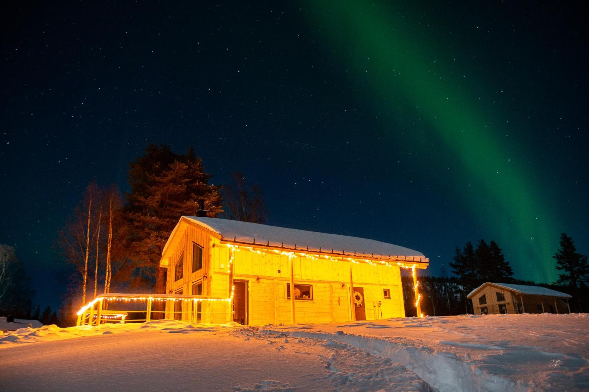 Blueberry Lodge 5 Personnes Mjolan Exterior foto